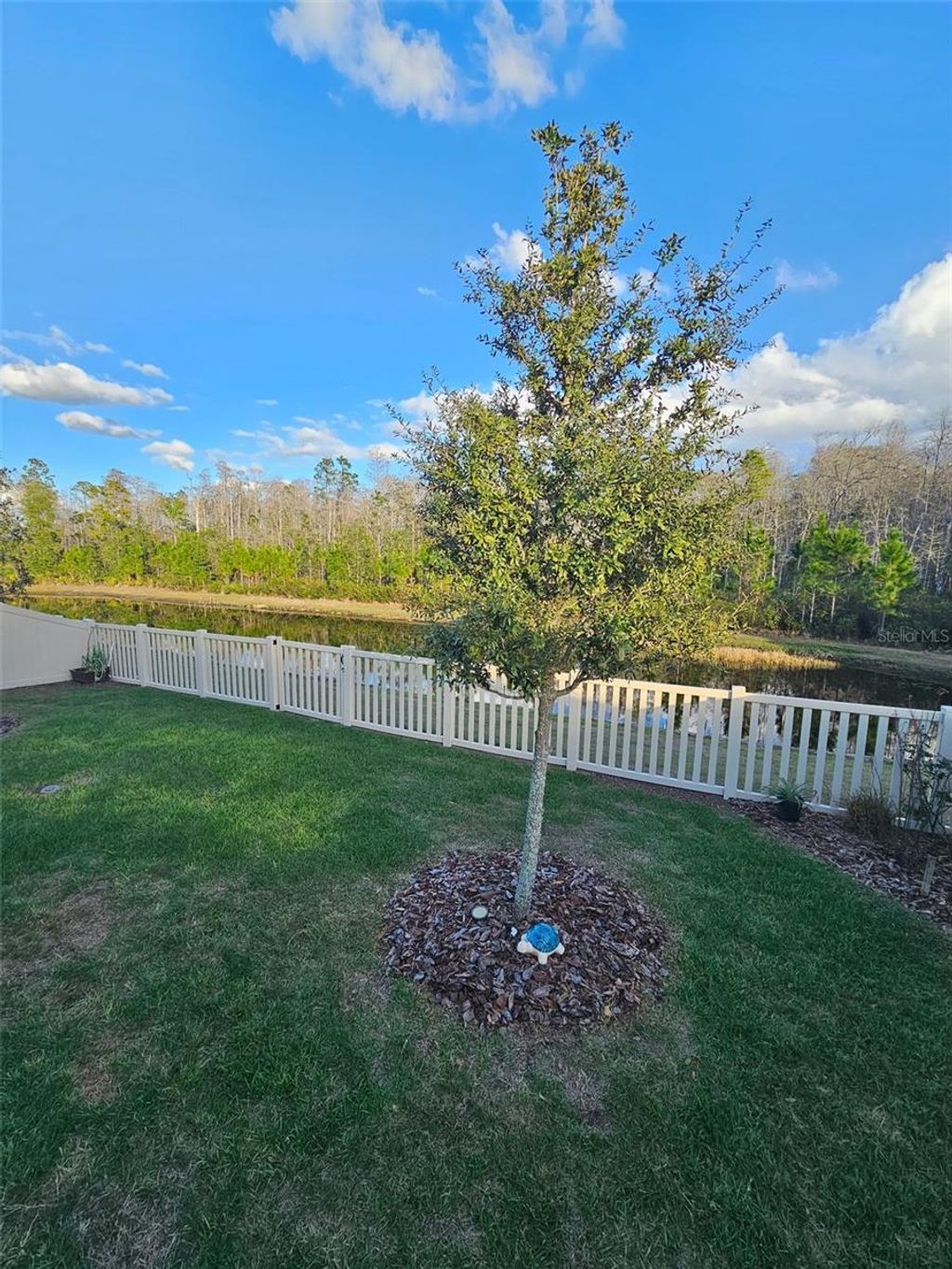 Photo of 16816 Shell Bay Drive, Land O Lakes, FL 34638 (MLS # TB8472233)