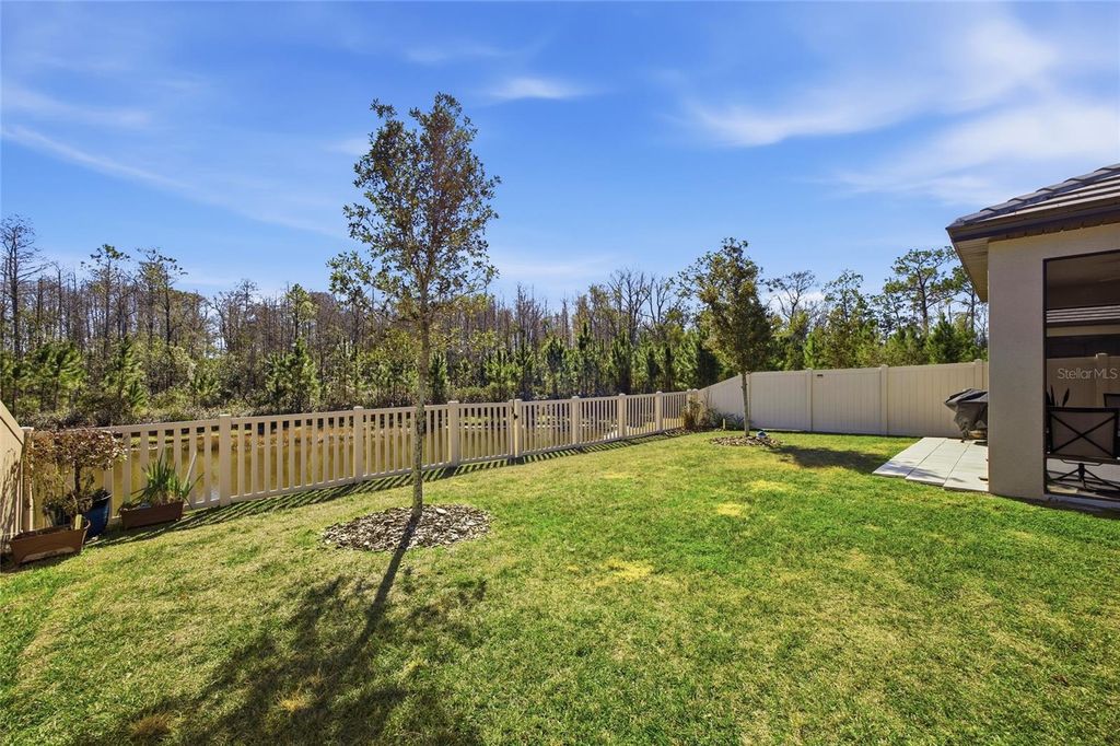 Photo of 16816 Shell Bay Drive, Land O Lakes, FL 34638 (MLS # TB8472233)