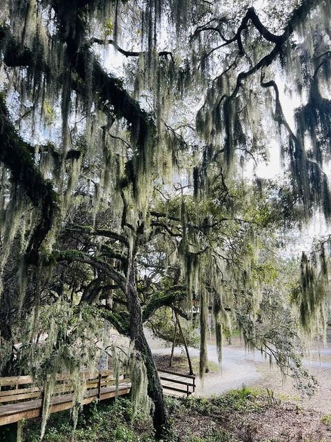 A home in PALMETTO