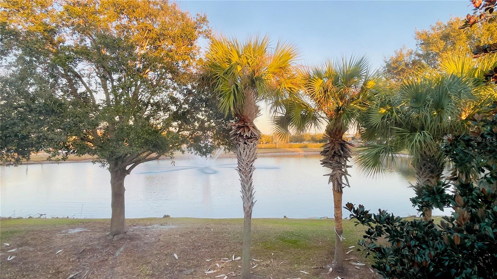 SPRING ISLE - Residential Lease