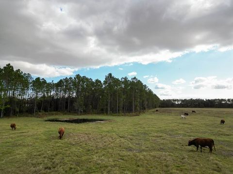Tiny photo for 993 Cr 722, Webster, FL 33597 (MLS # G5093805)