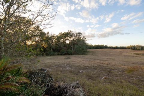 Tiny photo for 993 Cr 722, Webster, FL 33597 (MLS # G5093805)