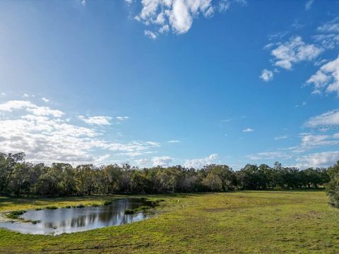 Tiny photo for 993 Cr 722, Webster, FL 33597 (MLS # G5093805)