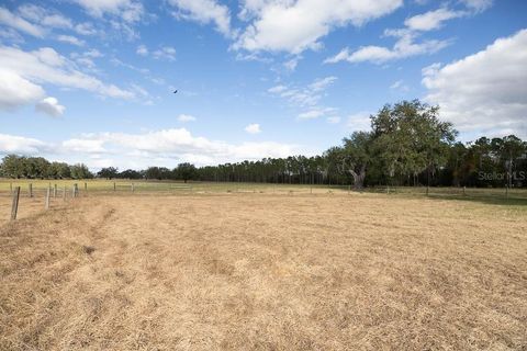Tiny photo for 993 Cr 722, Webster, FL 33597 (MLS # G5093805)