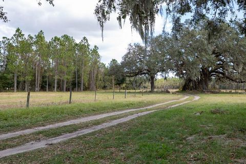 Tiny photo for 993 Cr 722, Webster, FL 33597 (MLS # G5093805)