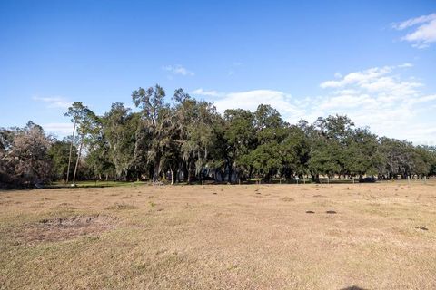 Tiny photo for 993 Cr 722, Webster, FL 33597 (MLS # G5093805)