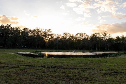 Tiny photo for 993 Cr 722, Webster, FL 33597 (MLS # G5093805)