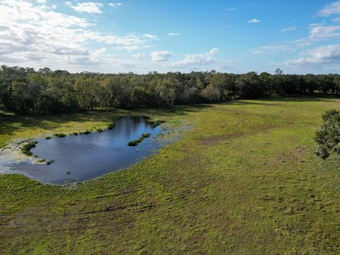 Tiny photo for 993 Cr 722, Webster, FL 33597 (MLS # G5093805)
