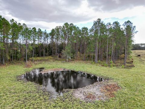 Tiny photo for 993 Cr 722, Webster, FL 33597 (MLS # G5093805)