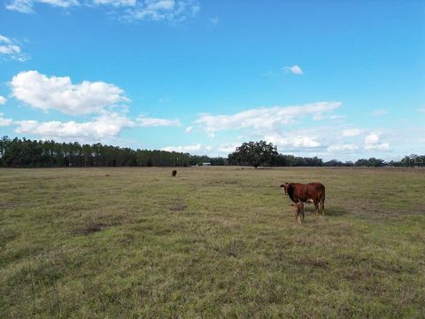 Tiny photo for 993 Cr 722, Webster, FL 33597 (MLS # G5093805)