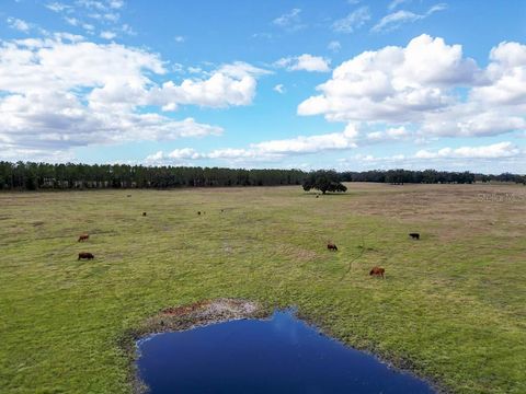 Tiny photo for 993 Cr 722, Webster, FL 33597 (MLS # G5093805)