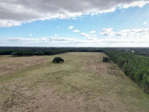 Tiny photo for 993 Cr 722, Webster, FL 33597 (MLS # G5093805)
