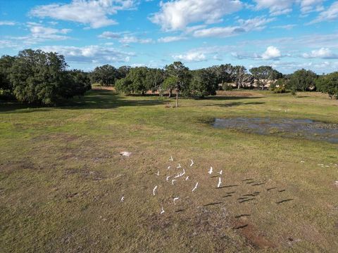 Tiny photo for 993 Cr 722, Webster, FL 33597 (MLS # G5093805)