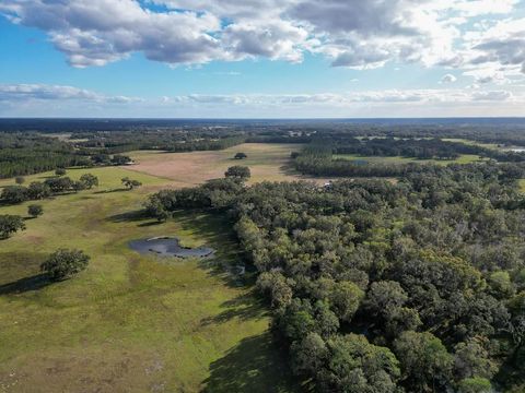 Tiny photo for 993 Cr 722, Webster, FL 33597 (MLS # G5093805)