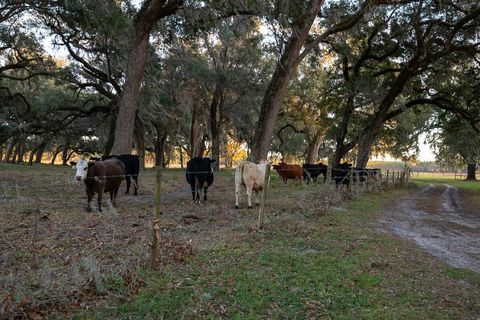 Tiny photo for 993 Cr 722, Webster, FL 33597 (MLS # G5093805)