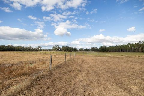Tiny photo for 993 Cr 722, Webster, FL 33597 (MLS # G5093805)