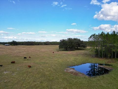 Tiny photo for 993 Cr 722, Webster, FL 33597 (MLS # G5093805)