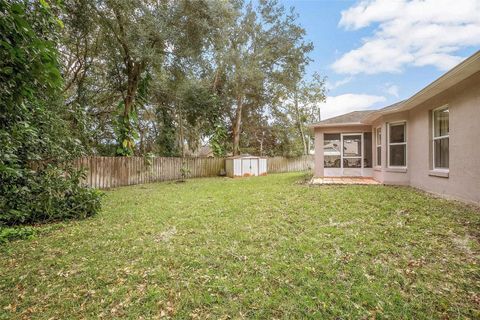 A home in DELTONA