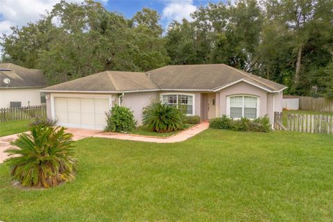 A home in DELTONA