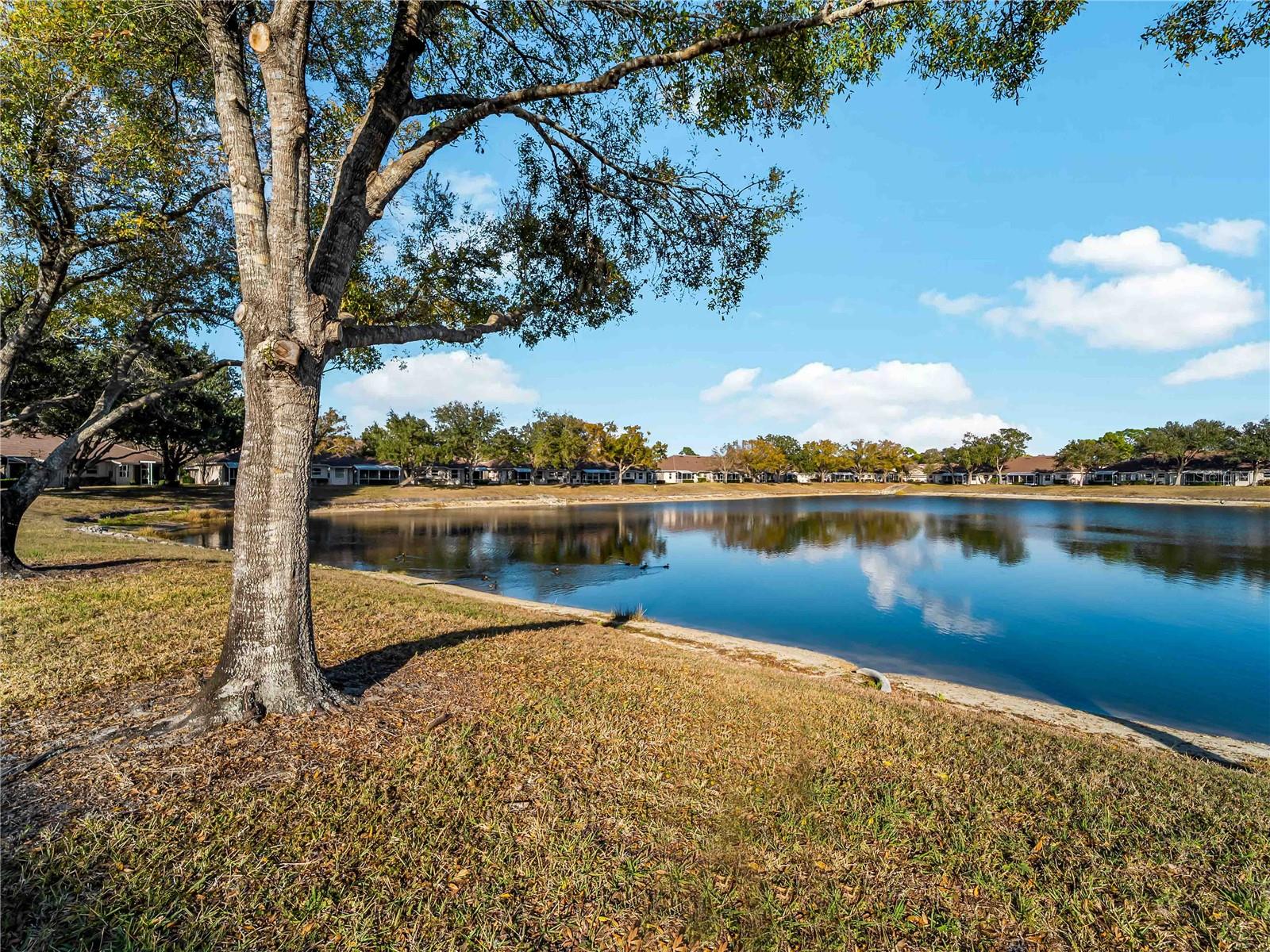 BOBCAT VILLAS PH 3 - Residential