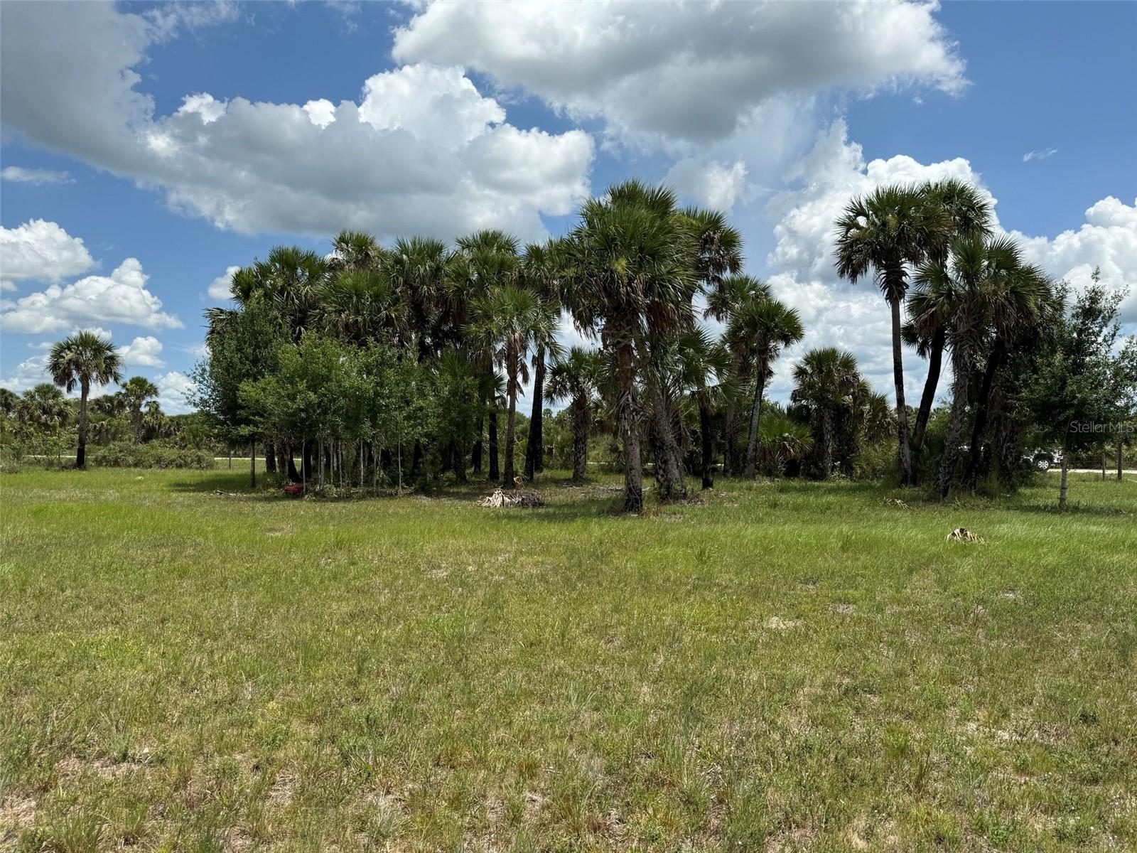 Owner financing available with large down. Build or bring your dream home and barn on this beautiful 2.5 acre just off of the main paved road but yet still private. This lot is cleared with a pond and culvert. Power on the road. Okeechobee County offers a unique blend of tranquility and adventure for those looking bring their dream home to life. For nature and sports enthusiasts, the nearby Kissimmee River Preserve State Park and the flowing Kissimmee River into Lake Okeechobee present endless opportunities for fishing, hunting, and exploring the great outdoors. Okeechobee County is not just a place to reside; it's a lifestyle choice that caters to a variety of interests and activities, all while offering the peace and privacy desired by many.