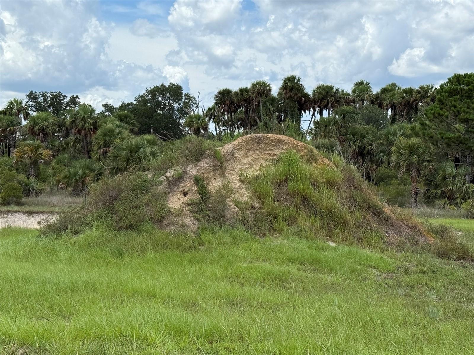 SOUTHERN COLONIZATION CO - Land