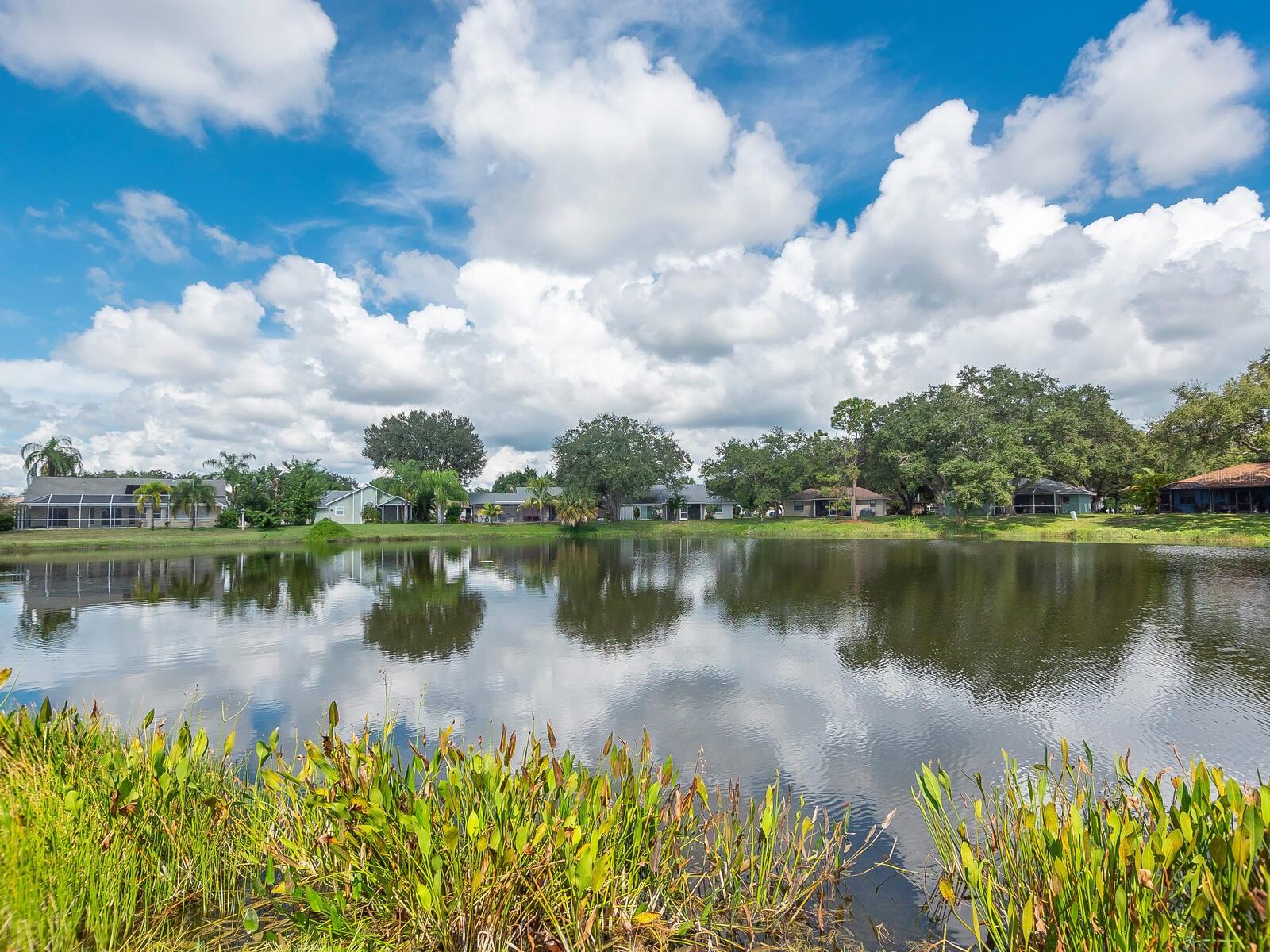 ISLES OF CHESTNUT CREEK - Residential