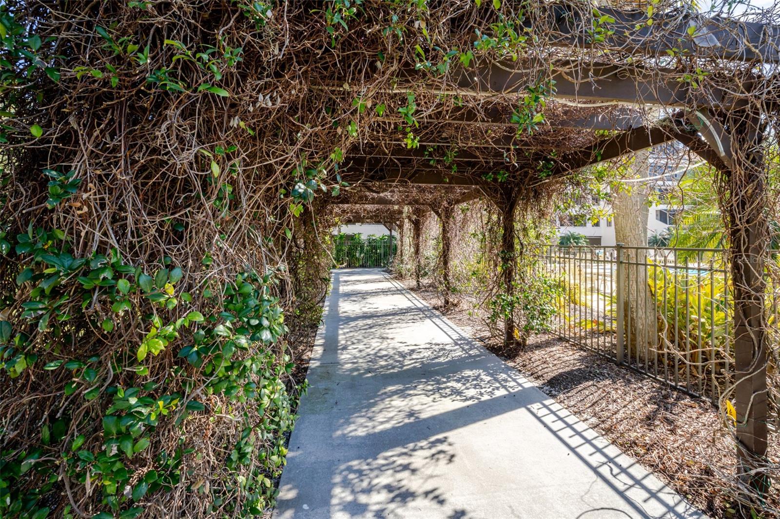 EXCELSIOR BEACH TO BAY - Residential