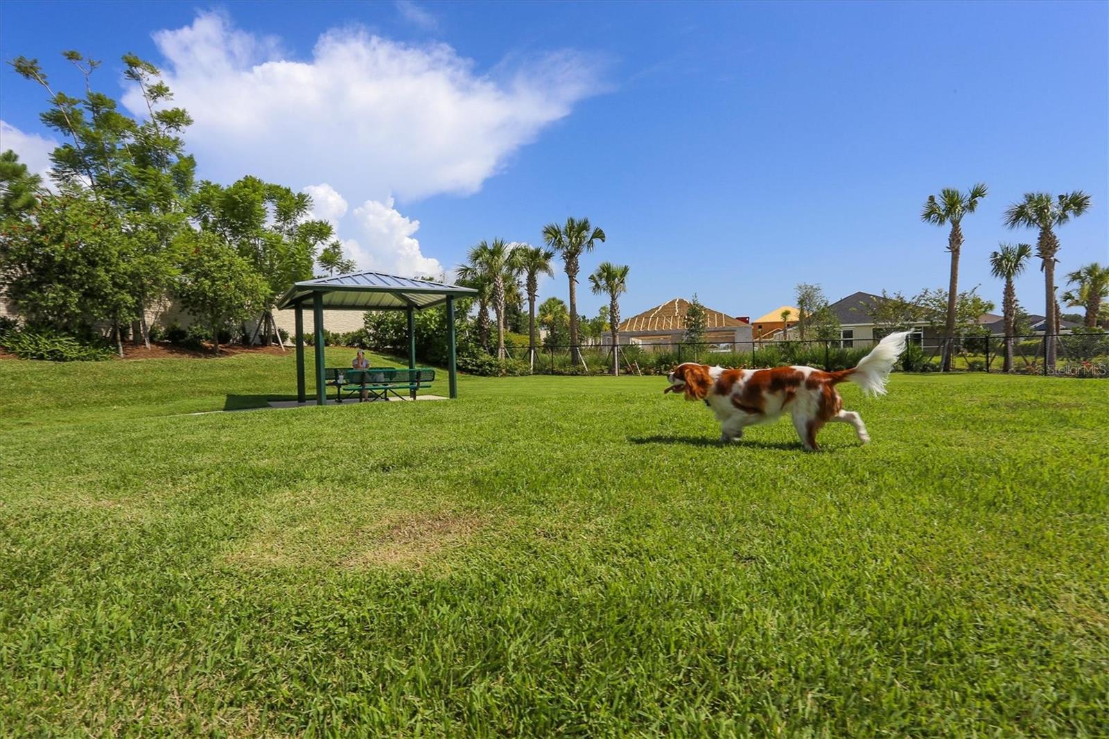 ARBOR LAKES ON PALMER RANCH - Residential
