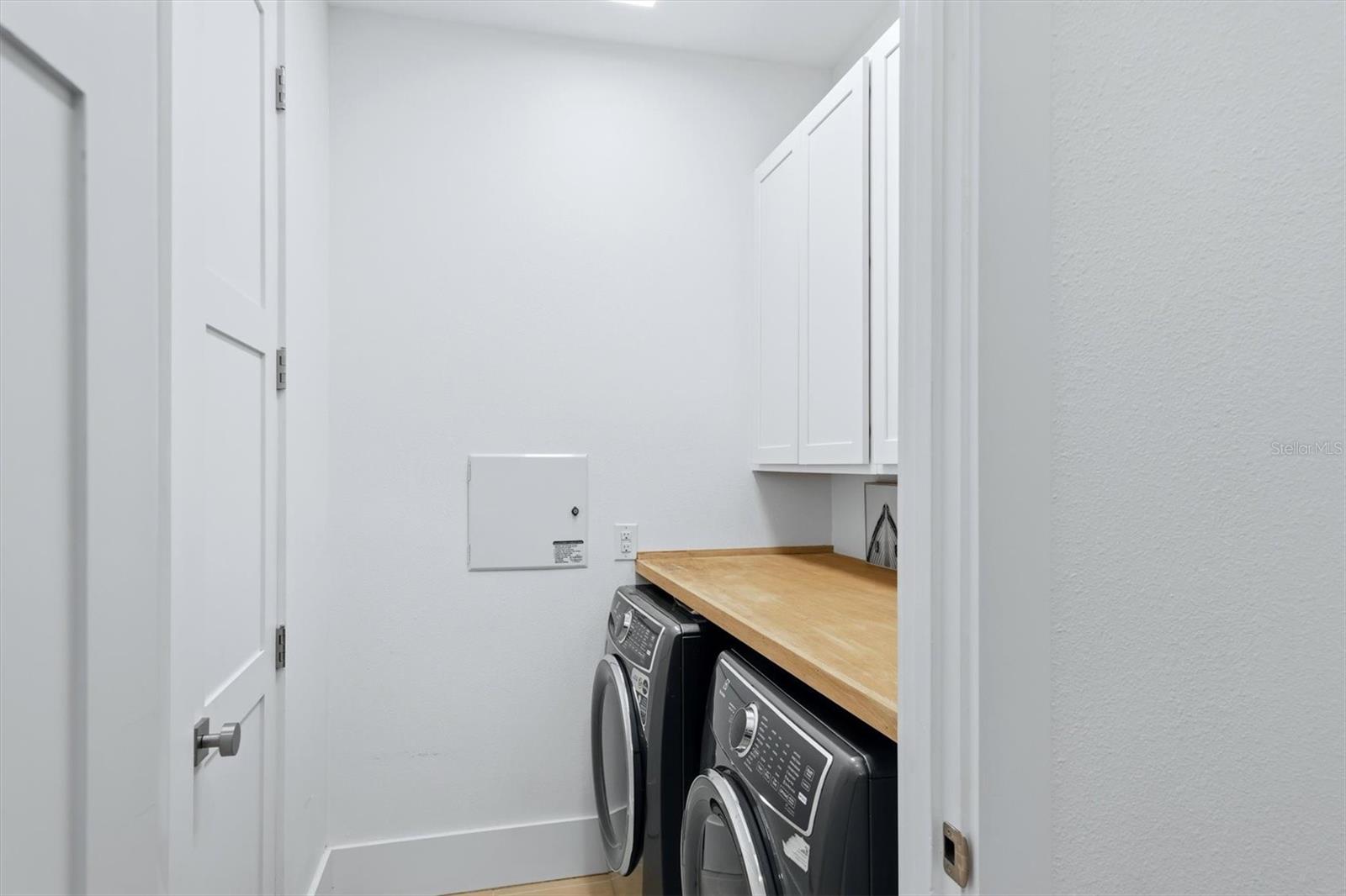 ARBOR LAKES ON PALMER RANCH - Residential