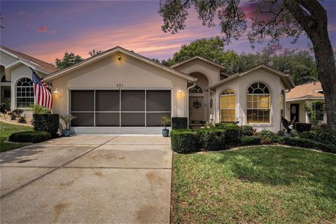 371 QUANE AVENUE SPRING HILL FL 34609