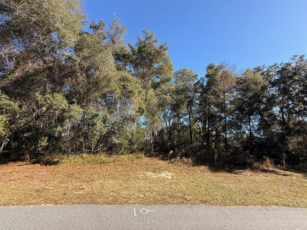 Photo of Southwest 43 Ave, Ocala, FL 34473 (MLS # O6367849)