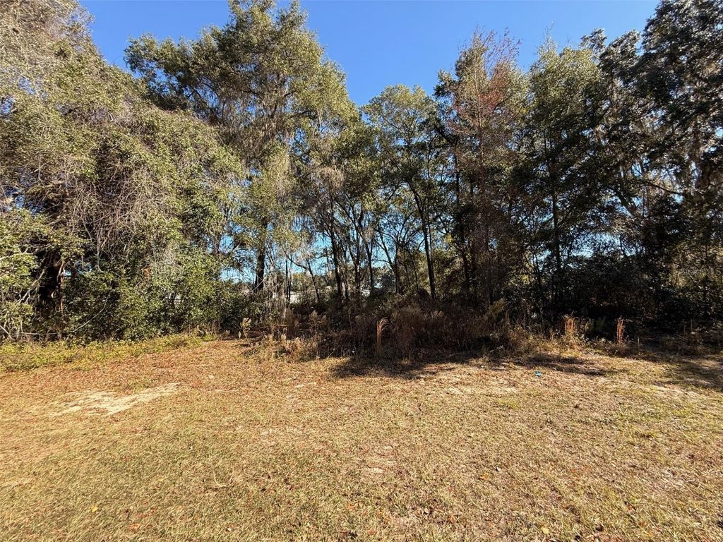Photo of Southwest 43 Ave, Ocala, FL 34473 (MLS # O6367849)