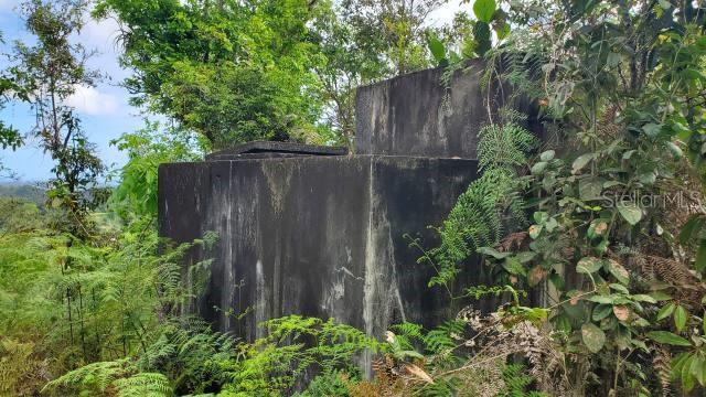 VEGA ALTA LAND 38 ACRES - Land