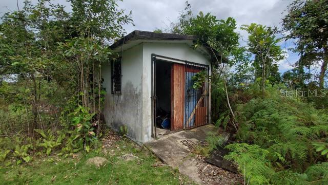 VEGA ALTA LAND 38 ACRES - Land