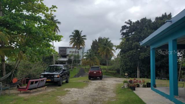 VEGA ALTA LAND 38 ACRES - Land