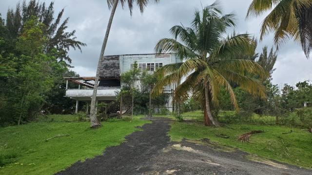 VEGA ALTA LAND 38 ACRES - Land