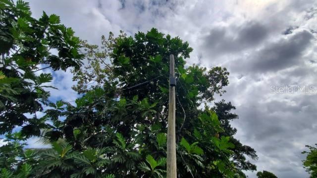 VEGA ALTA LAND 38 ACRES - Land