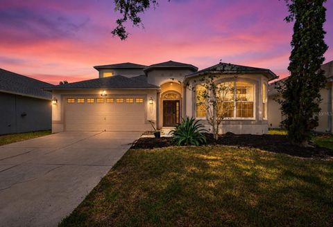 Photo of 10024 Coldwater Loop, Land O Lakes, FL 34638 (MLS # TB8508788)
