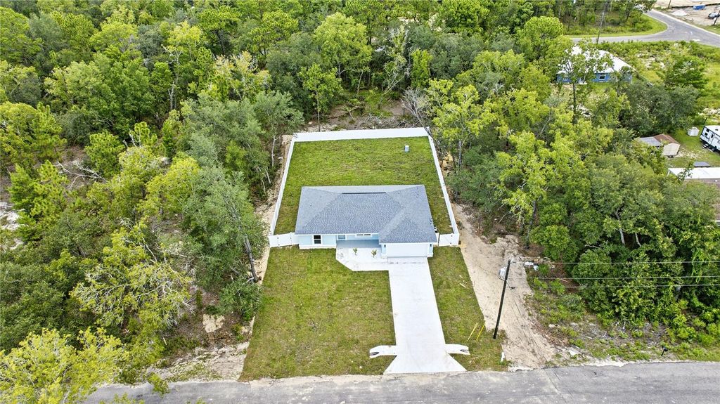 Photo of 7 Guava Place Pass, Ocklawaha, FL 32179 (MLS # OM707967)