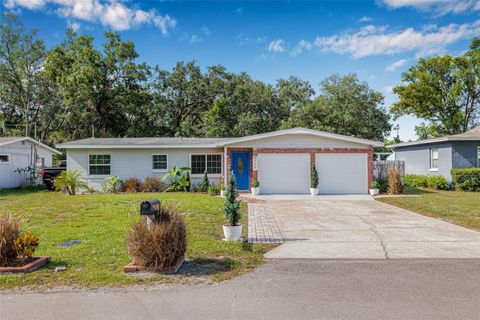 308 JEANAL PLACE TAMPA FL 33612