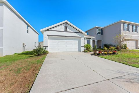 Photo of 10918 Trailing Vine Drive, Tampa, FL 33610 (MLS # TB8495816)
