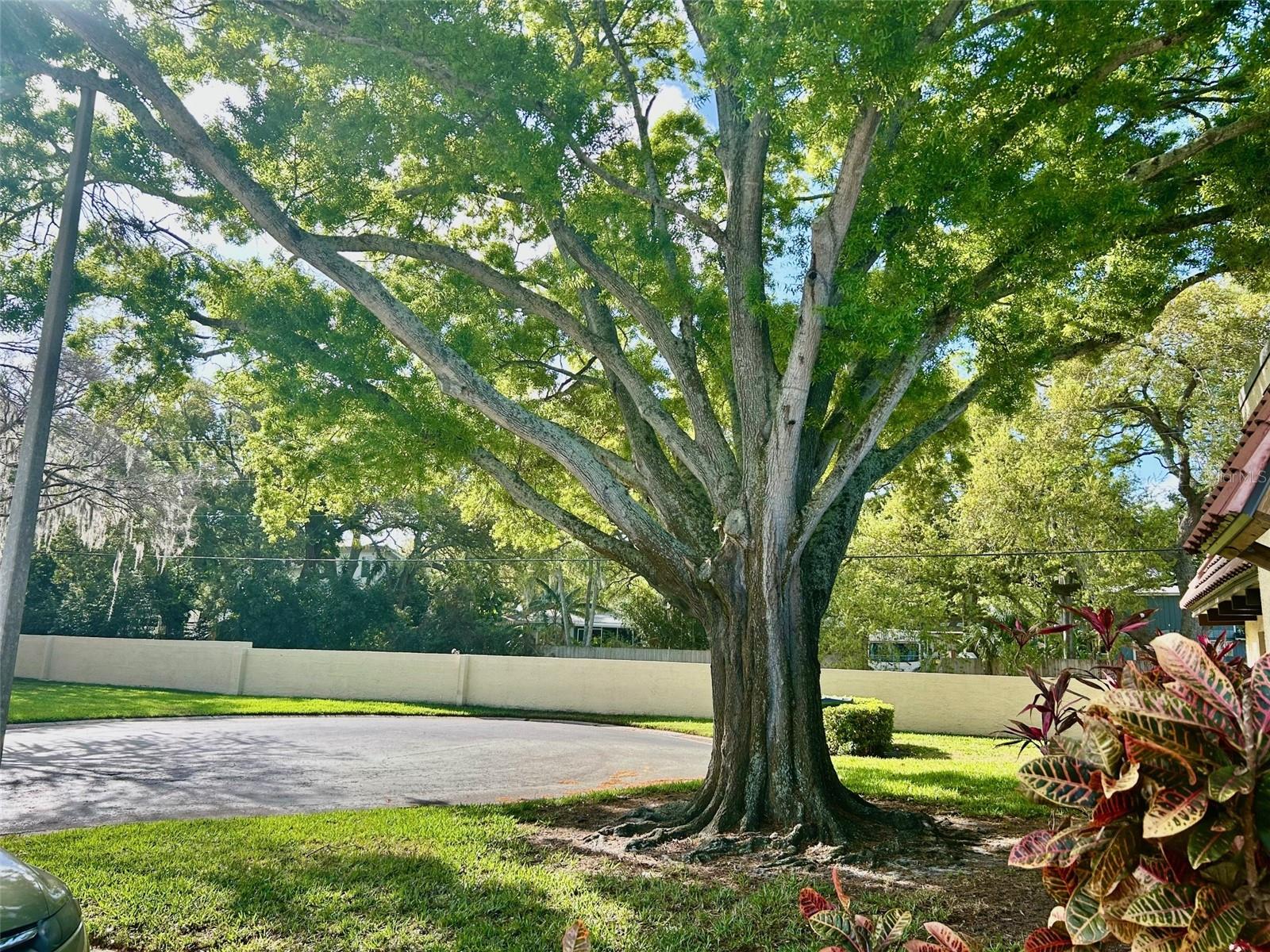 PINEHURST VILLAGE - Residential
