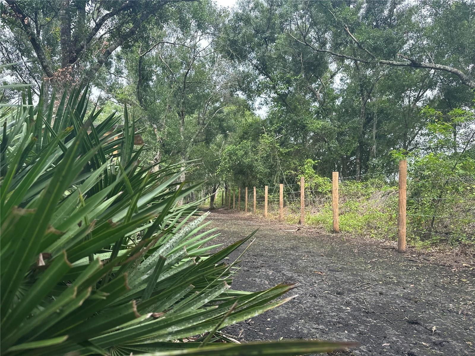 MEADOWS/ARCADIA - Land