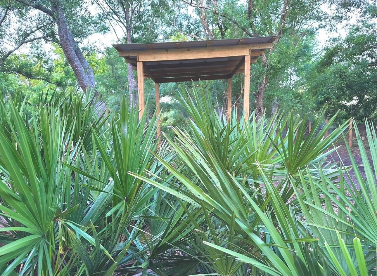 MEADOWS/ARCADIA - Land