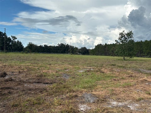 Photo of Pump Station Rd, Land O Lakes, FL 34639 (MLS # TB8546109)