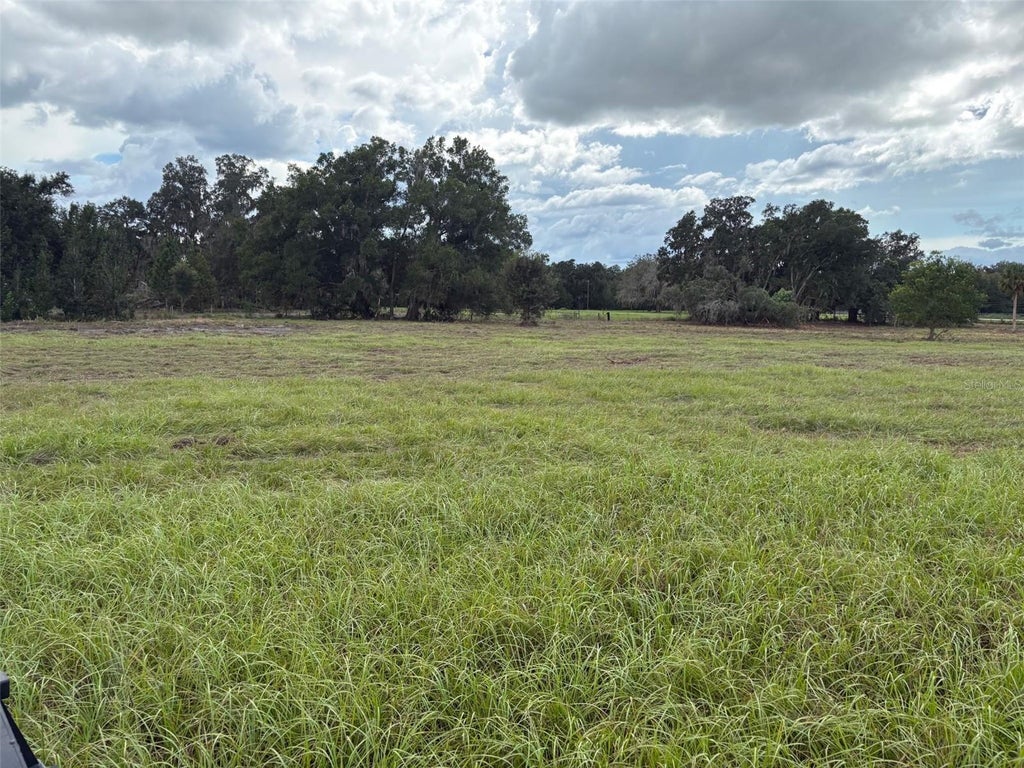 Photo of Pump Station Rd, Land O Lakes, FL 34639 (MLS # TB8546109)