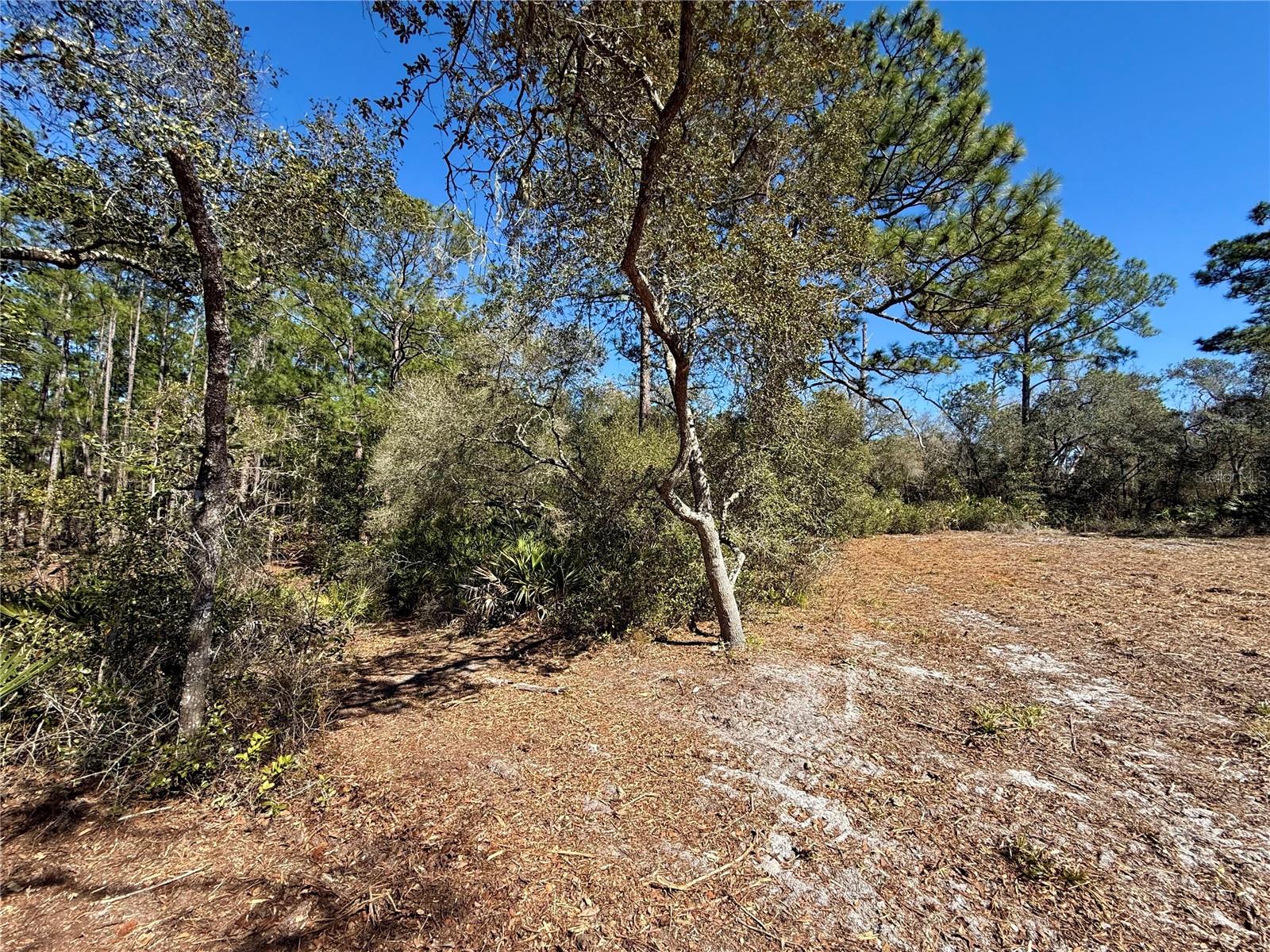 ROYAL TRAILS UNIT 01 - Land