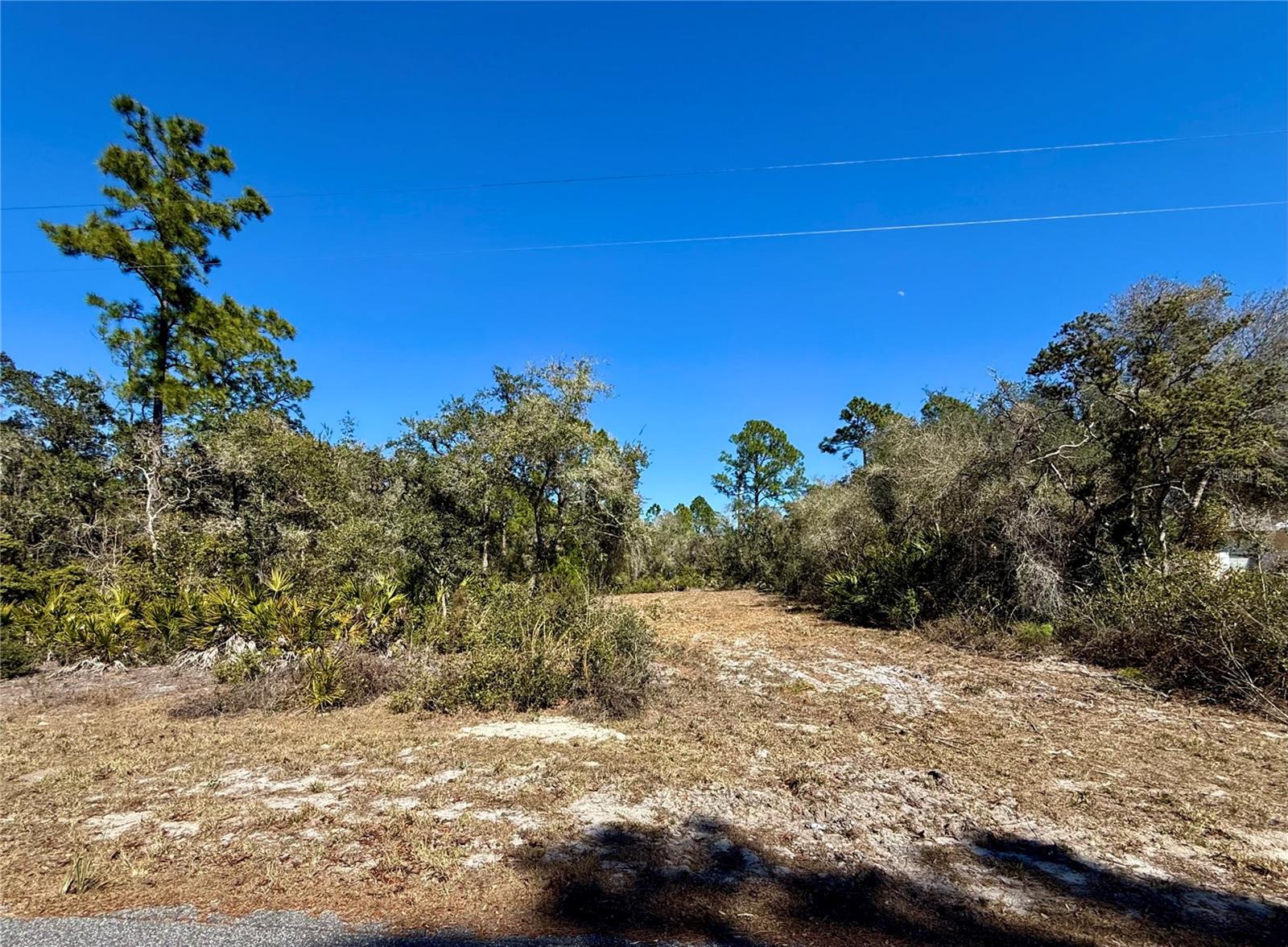 LOT 11 POINCIANA STREET