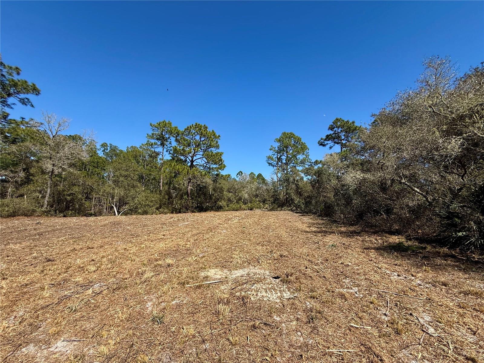 LOT 11 POINCIANA STREET